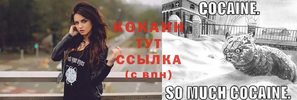 ешки Абаза