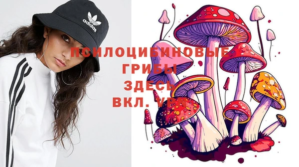 дурь Инсар