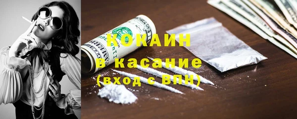 тгк Ельня